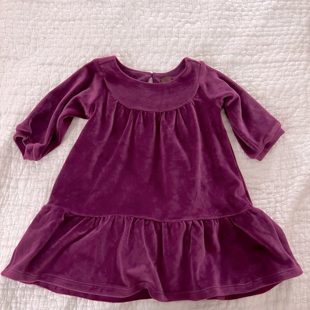Tea collection purple velvet dress 18-24 mo